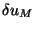 $\delta u_M$